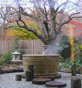 DUNC$B%7%9%F%`:NMQ;vNc(B - $B%,%i%9$N%9%1!<%k=|5n8e(B