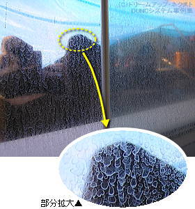 $B%9%1!<%k$,$&$m$3>u$KIUCe$7$?%,%i%9Ak!!F)L@46$,B;$J$o$l$F$$$k(B