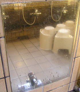 $B%9%1!<%k$,IUCe$7F^$C$?6@(B