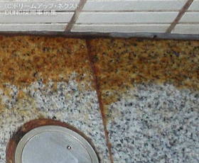 $B2~A1A0$N%9%1!<%k3HBg<L??(B