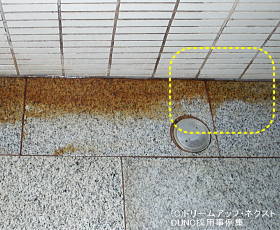 $B$h$/8+$+$1$k@V%5%S?'$N%9%1!<%k!!Gv1x$l$?0u>](B