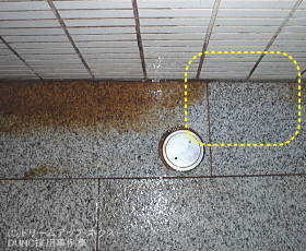 DUNC$B%7%9%F%`:NMQ;vNc!!%9%1!<%k=|5n8z2L%F%9%H$N<L??!!(B