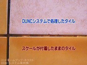 DUNC$B%7%9%F%`:NMQ;vNc!!%?%$%k$N85$N<A46$,$,a4$C$?(B