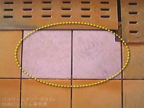 $B%9%1!<%k$N$;$$$G$9$C$+$j?'$,JQ$o$C$F$7$^$C$?%?%$%k(B