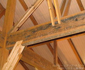 DUNC$B%7%9%F%`:NMQ;vNc(B - $BLZ:`$N%+%S=|5nA0(B